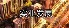 實(shí)業(yè)發(fā)展